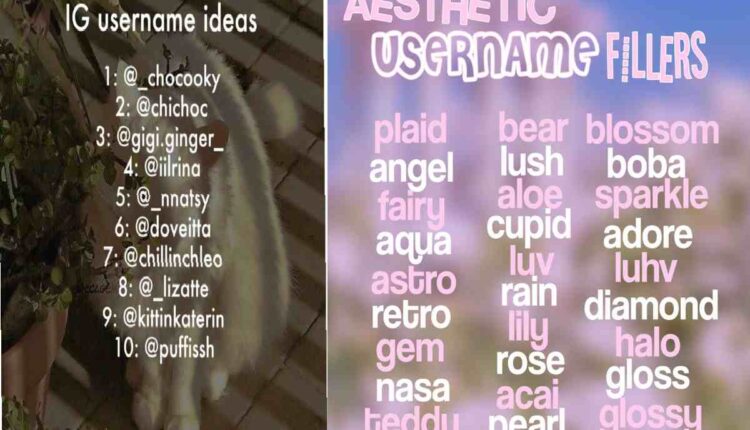 Short Aesthetic Usernames For Instagram For Girl
